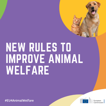 Η Επιτροπή προτείνει νέους κανόνες για τη βελτίωση της διαβίωσης των ζώων
