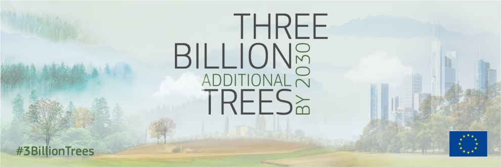 3 billion trees