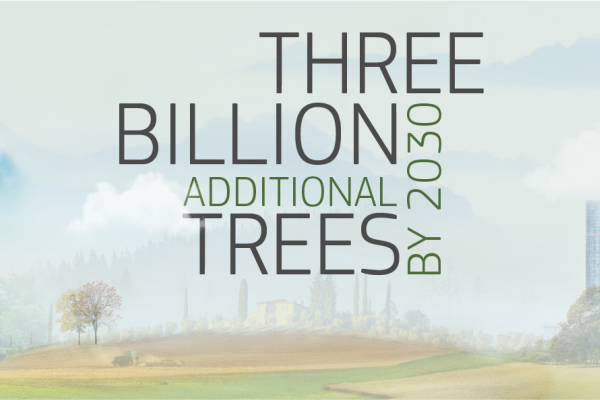 3 billion trees